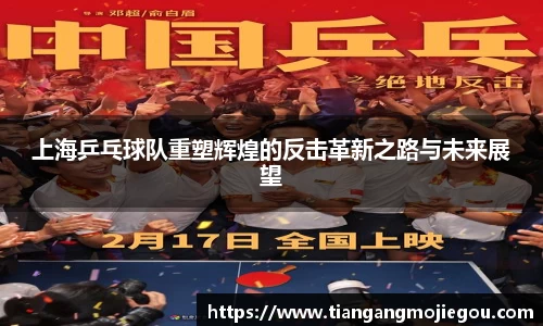 上海乒乓球队重塑辉煌的反击革新之路与未来展望