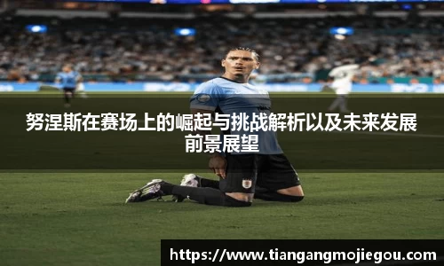 努涅斯在赛场上的崛起与挑战解析以及未来发展前景展望