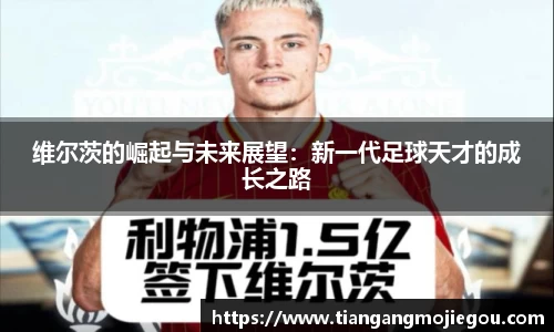 优游国际