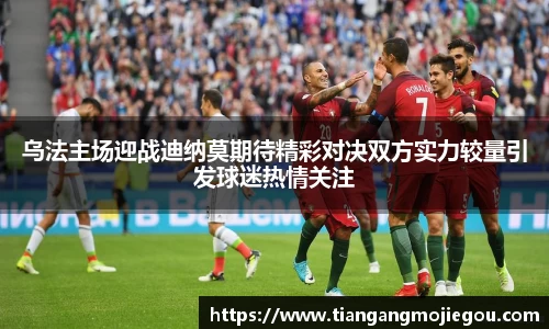 优游国际官网注册