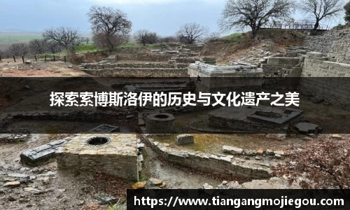 优游国际注册