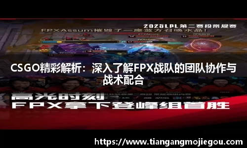 优游国际注册
