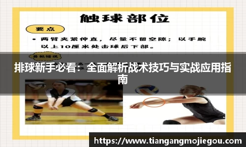 优游国际注册